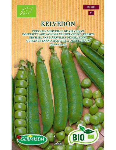Semillas ecológicas de guisante de mata baja Kelvedon