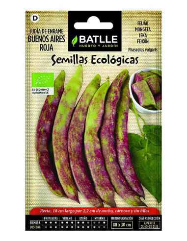 Semillas ecológicas de judía Buenos aires roja