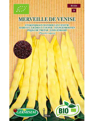Semillas ecológicas de judía de enrame Maravilla de Venecia
