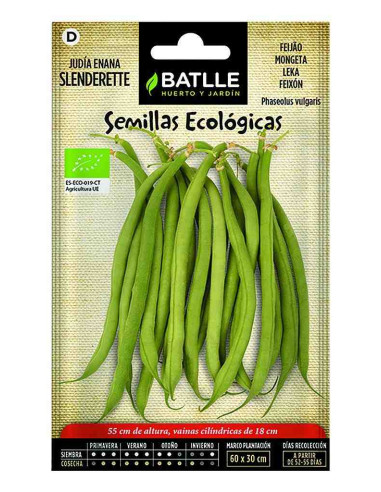 Semillas ecológicas de judia enana Slenderette 500g