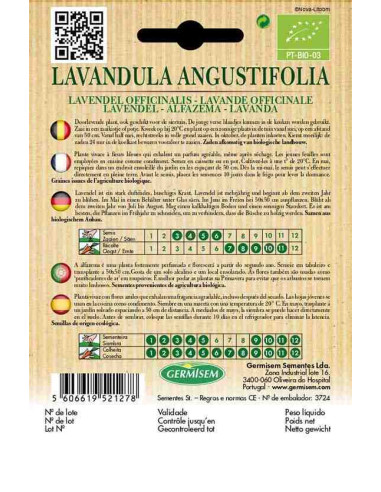Semillas ecológicas de lavanda (Lavandula angustifolia) 2