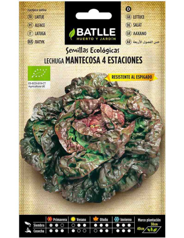 Semillas ecológicas de lechuga 4 estaciones 100g 
