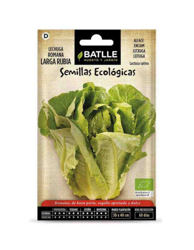 Semillas ecológicas de lechuga romana larga rubia