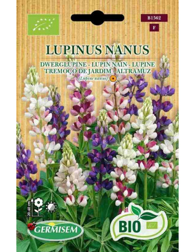 Semillas ecológicas de lupino o altramuz silvestre (En oferta 2x1)) 1