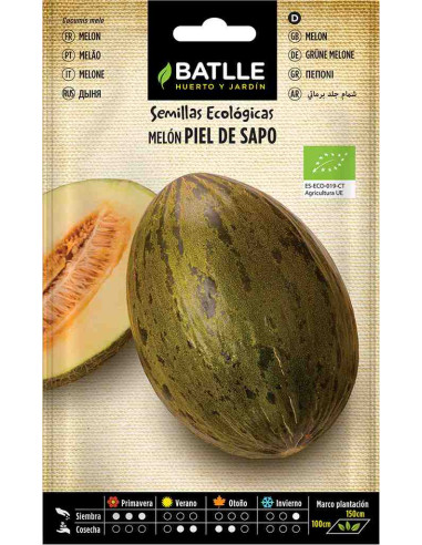 Semillas ecológicas de melón piel de sapo
