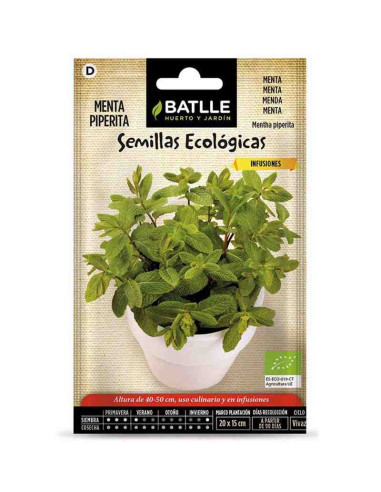 Semillas ecológicas de menta