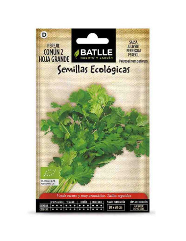 Semillas ecológicas de perejil común hoja grande