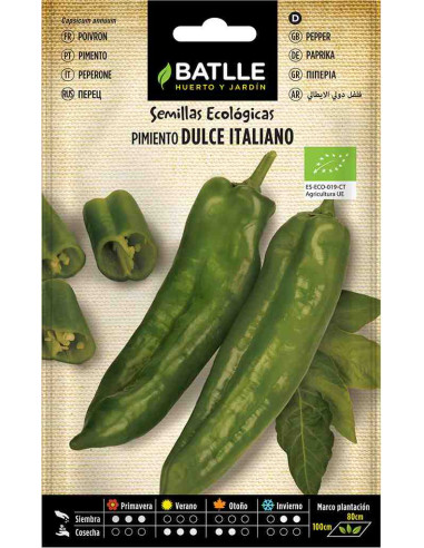 Semillas ecológicas de pimiento dulce italiano