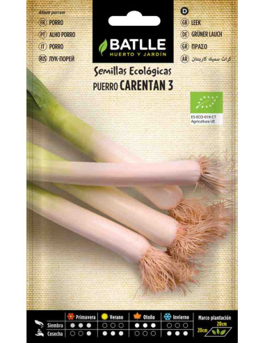 Semillas ecológicas de puerro grueso de Carentan 3 100g