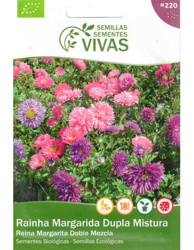 Semillas ecológicas de reina margarita doble mezcla (Aster de China)