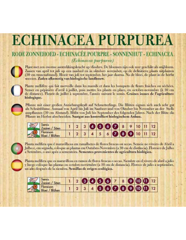 Semillas ecológicas de Equinácea purpurea