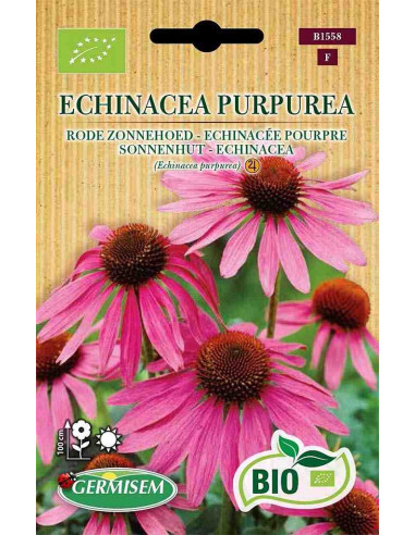 Semillas ecológicas de Equinácea purpurea