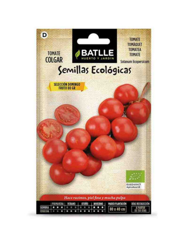Semillas ecológicas de tomate de colgar Domingo