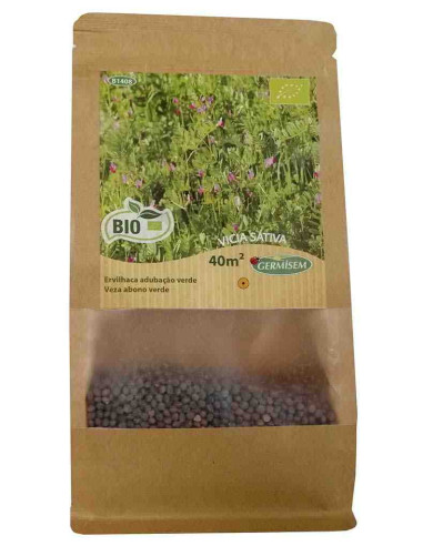 Semillas ecológicas de veza sativa (Vicia sativa) 500g (para 40m2) 1