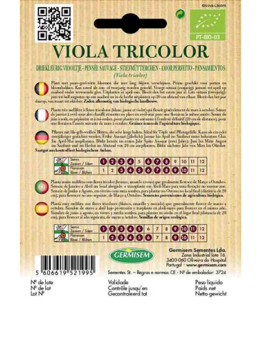 Semillas ecológicas pensamientos (Viola tricolor)
