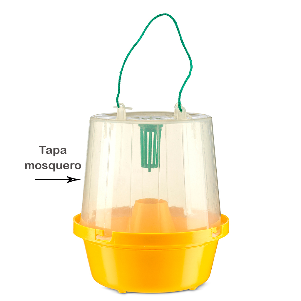 Tapa para la trampa mosquero