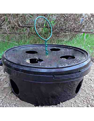 Trampa Bucket para el control del picudo rojo (Rhynchophorus)