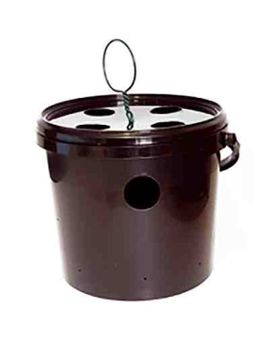 Trampa Bucket para el control del picudo rojo (Rhynchophorus)