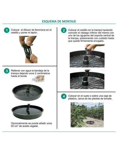 Trampa de agua para captura de la tuta absoluta (polilla del tomate)