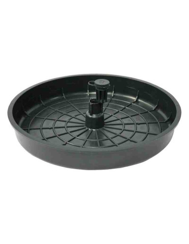 Trampa de agua para captura de la tuta absoluta (polilla del tomate)