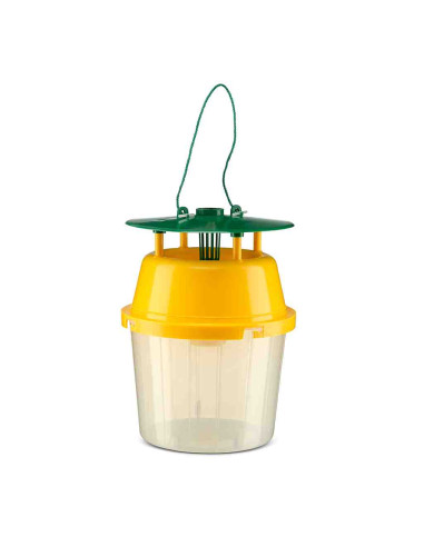 Trampa Funnel Polillero 1