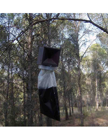 Trampa G para la captura de la mariposa de la procesionaria