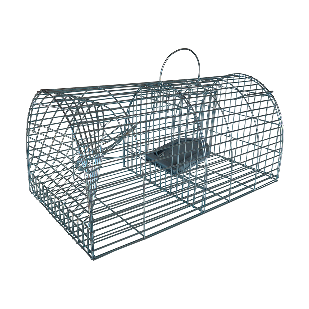 Trampa multicaptura para ratas 2