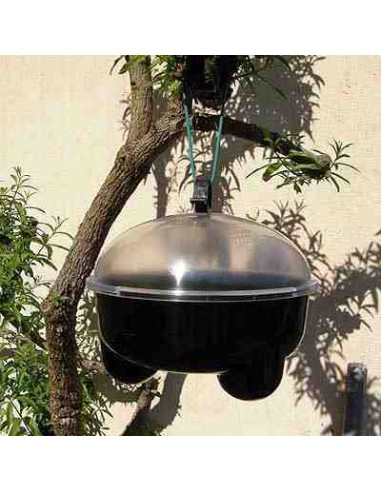 Trampa para avispas Avispa'clac 3