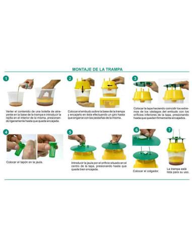 Trampa para la captura de la avispa asiática (Vespa velutina)