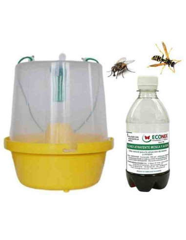 Trampa para moscas y avispas + cebo atrayente 1