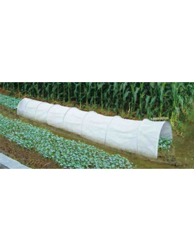 Tunel de cultivo acordeón antiheladas 3