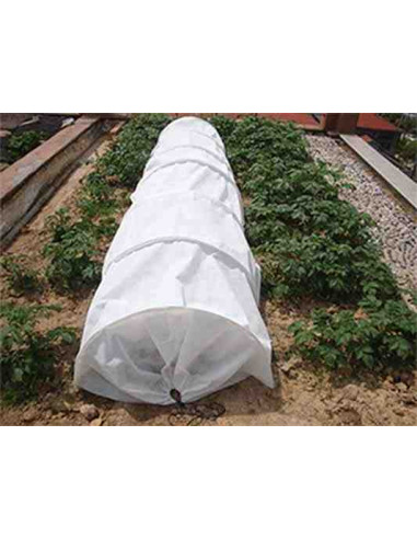 Tunel de cultivo acordeón antiheladas 1
