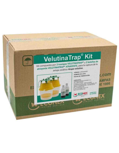 Velutinatrap Kit de captura de la avispa asiática (Velutina) 2 unid.