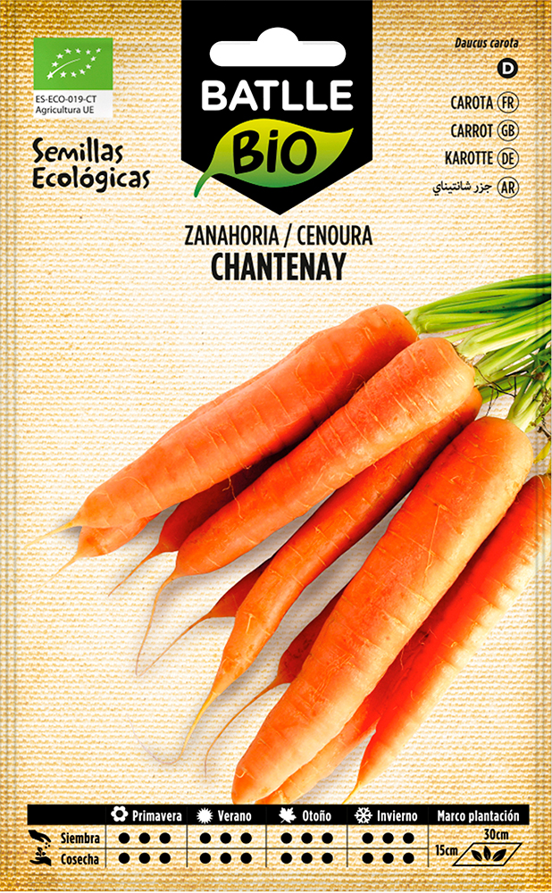 Semillas ecológicas de zanahoria Chantenay