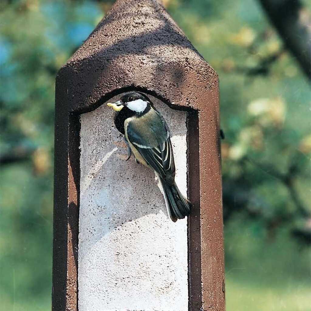 Control de plagas mediante aves insectívoras. Proyecto "Campos de vida"