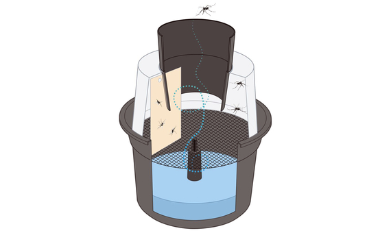 BG-GAT REFLECT TECH Trampa larvicida para el control de mosquitos 3