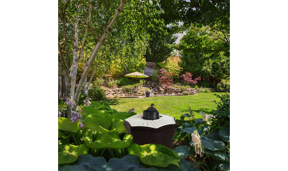 BG-Mosquitaire: Trampa para el control masivo del mosquito tigre y común. 4