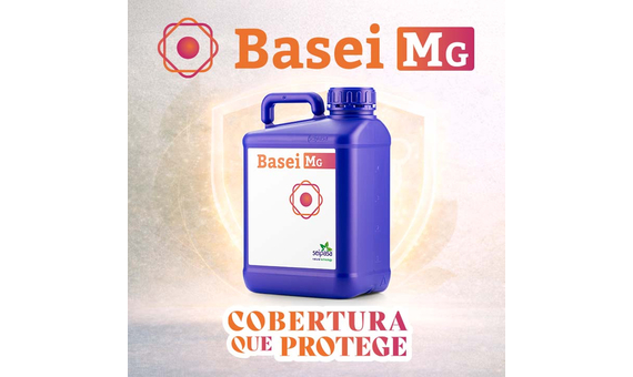 Basei Mg Protección foliar contra hongos de superficie, preventiva y curativa 5L