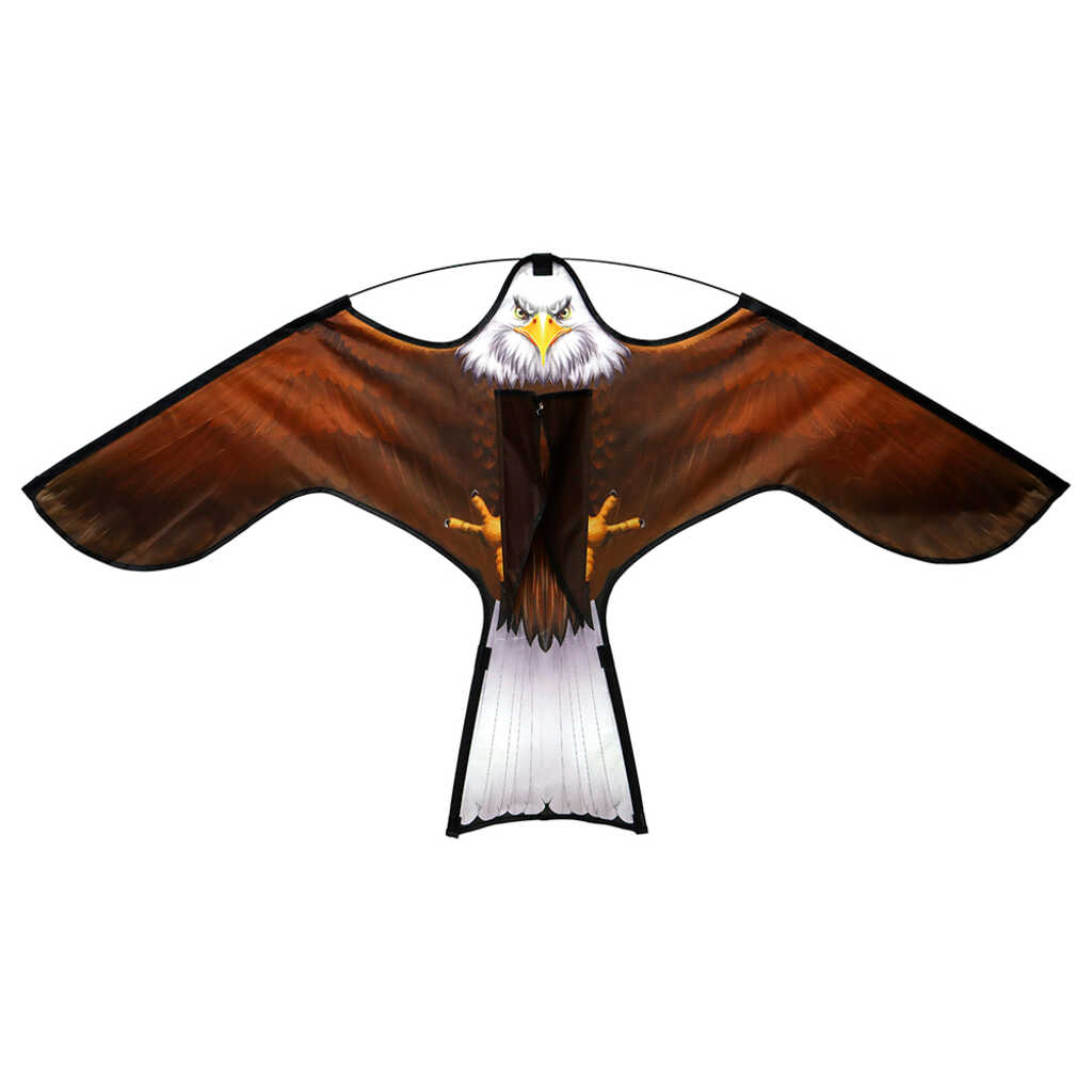 Cometa águila espantapájaros y roedores_1