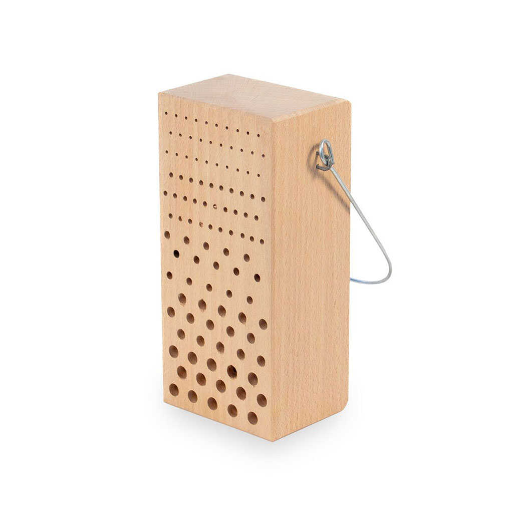 Nido de himenópteros de madera