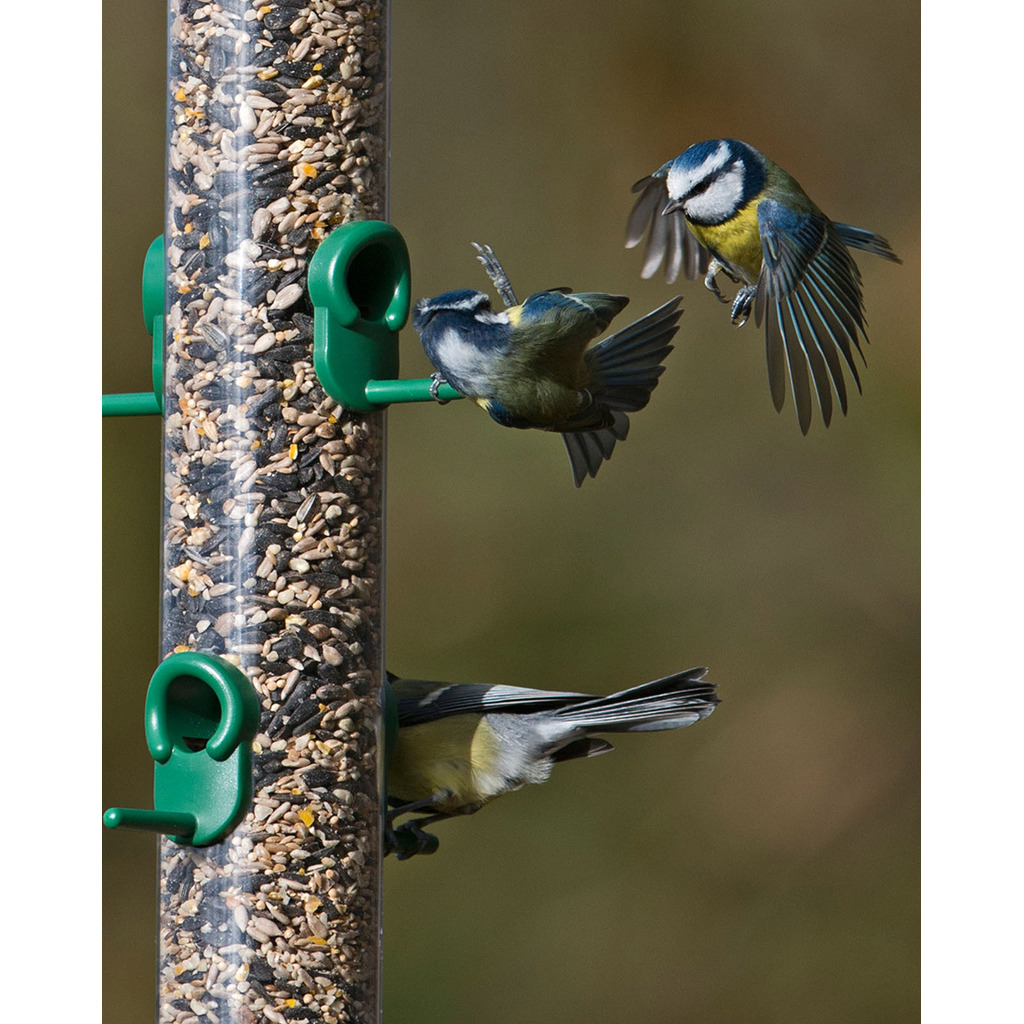 TO-S3G 'RING PULL' COMEDERO TUBULAR PARA AVES SILVESTRES GRANDE PARA MEZCLA DE SEMILLAS FÁCIL DE LIMPIAR_1