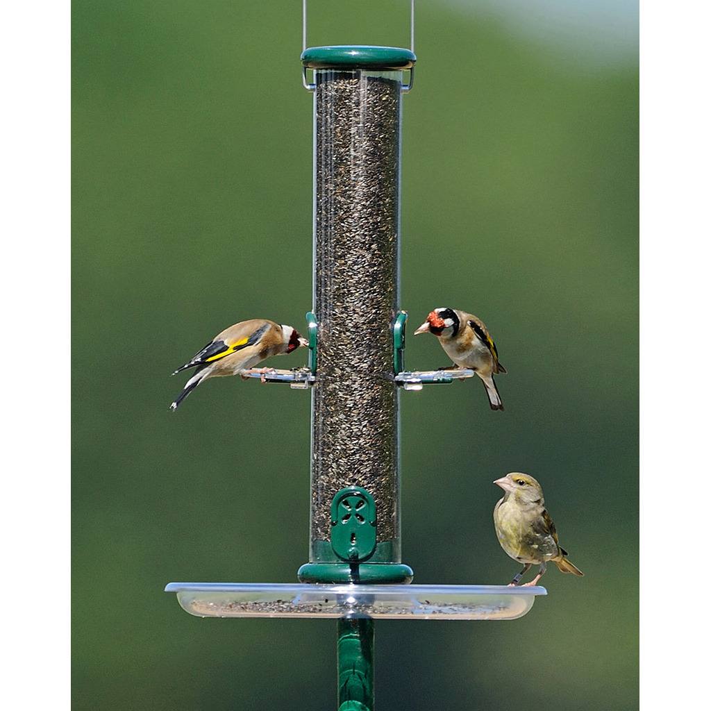 TO-N1Y 'RING PULL' Comedero tubular para aves silvestres pequeño especial para negrillo fácil de limpiar 4