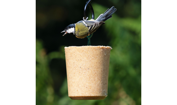 DIF-TIN Tubo de sebo con insectos 800g_1