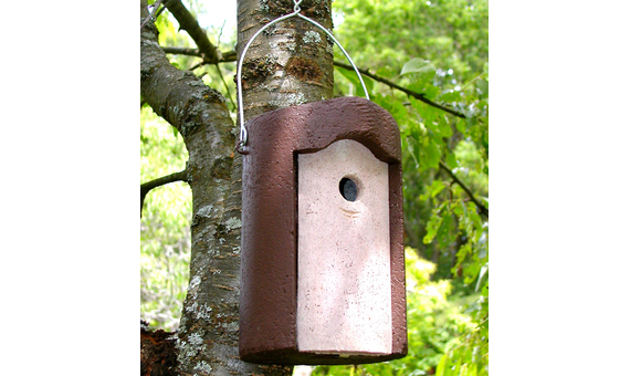 1B-26 Caja nido para herrerillos y carboneros garrapinos 5