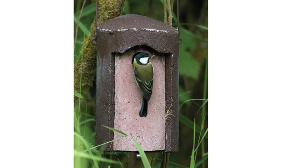 1B-26 Caja nido para herrerillos y carboneros garrapinos 6