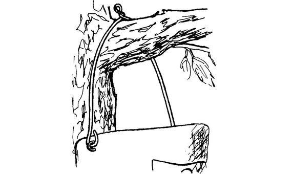 1B-26 Caja nido para herrerillos y carboneros garrapinos 4