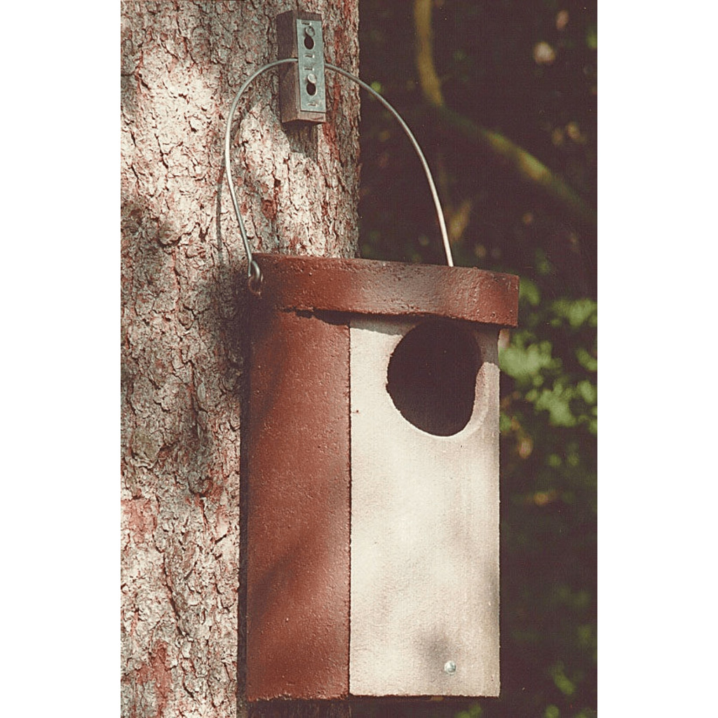 Nr. 5 Caja nido para cárabo_1