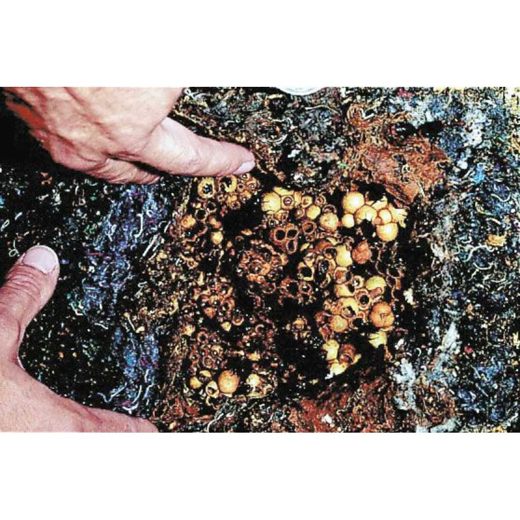 Nido para himenópteros de cemento y carrizo 3