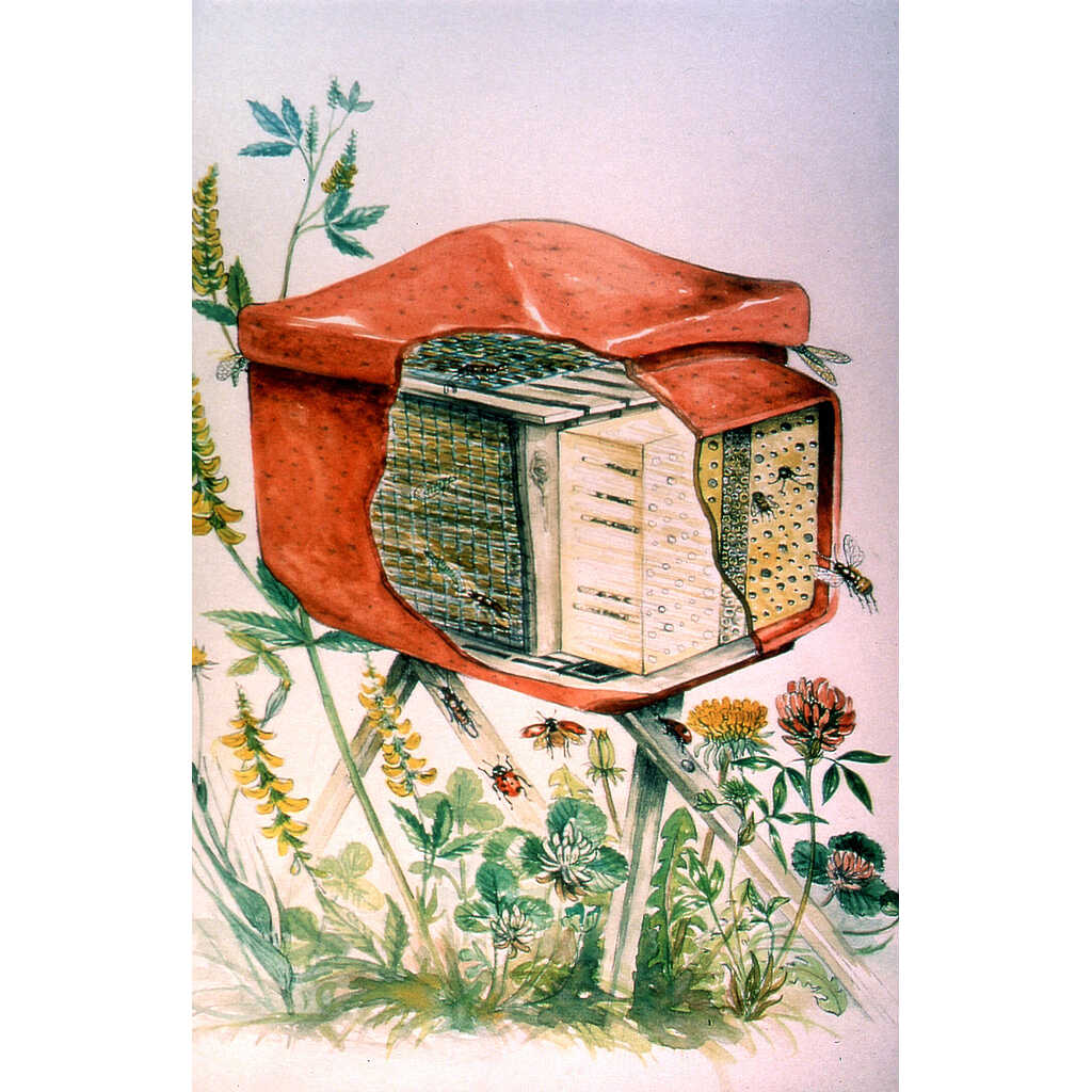 Hotel "INSECT COMBI" con soporte para distintas especies de insectos 4