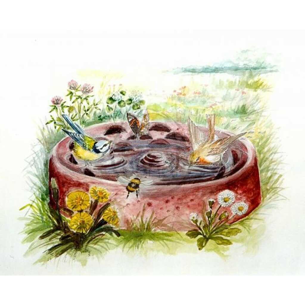 Bebedero-bañera de jardín para aves silvestres_1